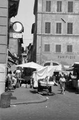 1960, Gazda Anikó, Fortepan #308906