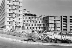 1962, Gazda Anikó, Fortepan #308917