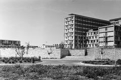 1962, Gazda Anikó, Fortepan #308918