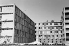 1962, Gazda Anikó, Fortepan #308921