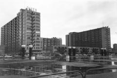 1966, Gazda Anikó, Fortepan #308937