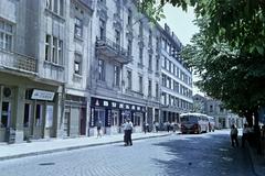 1964, Gazda Anikó, Fortepan #308950