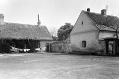 Magyarország, 1966, Gazda Anikó, Fortepan #308955