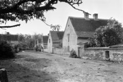 Magyarország, 1966, Gazda Anikó, Fortepan #308961