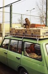 1982, Belházy Miklós, Fortepan #309020