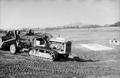 1953, Böhönyey Ágnes, Fortepan #309111