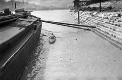 1955, Böhönyey Ágnes, Fortepan #309122