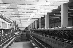 1954, Böhönyey Ágnes, Fortepan #309133