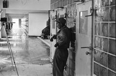 1954, Böhönyey Ágnes, Fortepan #309135