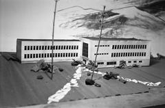 1954, Böhönyey Ágnes, Fortepan #309137