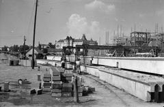 1950, Böhönyey Ágnes, Fortepan #309143