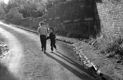 1952, Böhönyey Ágnes, Best of, visszanézés, testvérek, országút, napsütés, Fortepan #309152