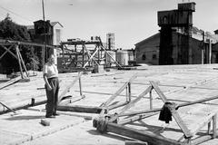 1955, Böhönyey Ágnes, Fortepan #309168