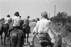 1951, Böhönyey Ágnes, Fortepan #309186