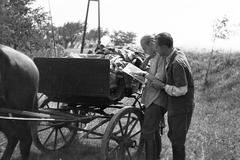 1951, Böhönyey Ágnes, Fortepan #309188