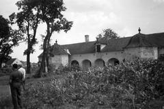 1955, Böhönyey Ágnes, Fortepan #309194