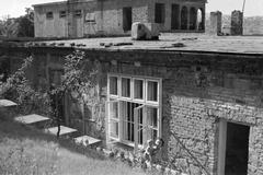 1950, Böhönyey Ágnes, Fortepan #309216