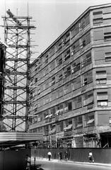 1955, Böhönyey Ágnes, Fortepan #309222