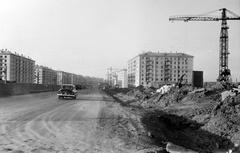 1955, Böhönyey Ágnes, Fortepan #309224