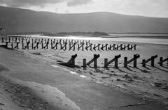 1966, Böhönyey Ágnes, Best of, Fortepan #309242