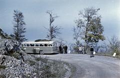 1963, Böhönyey Ágnes, Fortepan #309245