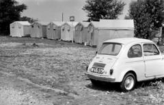 1966, Böhönyey Ágnes, Fortepan #309248