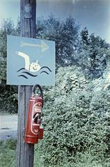 1965, Böhönyey Ágnes, Fortepan #309249