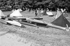 1960, Böhönyey Ágnes, Fortepan #309263