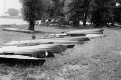 1960, Böhönyey Ágnes, Fortepan #309267