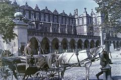 1958, Böhönyey Ágnes, Fortepan #309269