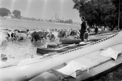 1960, Böhönyey Ágnes, Fortepan #309270