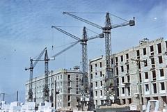 1954, Böhönyey Ágnes, Fortepan #309287