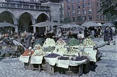 1954, Böhönyey Ágnes, Fortepan #309289