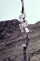 1954, Böhönyey Ágnes, Fortepan #309300