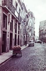 1960, Böhönyey Ágnes, Fortepan #309304