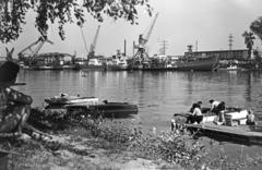 1955, Böhönyey Ágnes, Fortepan #309313