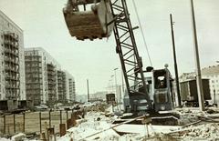 1961, Böhönyey Ágnes, Fortepan #309315