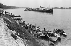 1955, Böhönyey Ágnes, Fortepan #309320