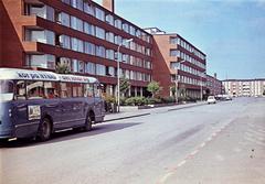 1964, Böhönyey Ágnes, Fortepan #309332