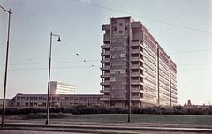 1964, Böhönyey Ágnes, Fortepan #309334