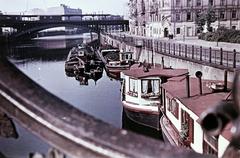 1964, Böhönyey Ágnes, Fortepan #309339