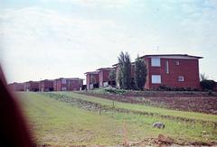 1964, Böhönyey Ágnes, Fortepan #309341