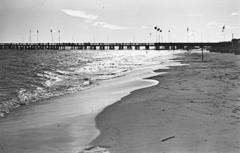 1964, Böhönyey Ágnes, Fortepan #309344