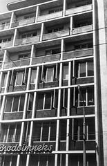 1968, Böhönyey Ágnes, Fortepan #309348