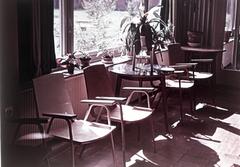 1957, Böhönyey Ágnes, Fortepan #309360