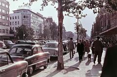 1957, Böhönyey Ágnes, Fortepan #309362