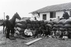 1916, Böhönyey Ágnes, Fortepan #309386