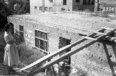 1949, Böhönyey Ágnes, Fortepan #309397