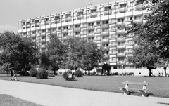 Magyarország, Debrecen, Petőfi tér., 1966, Építésügyi Dokumentációs és Információs Központ, VÁTI, utcabútor, park, pad, Fortepan #30942