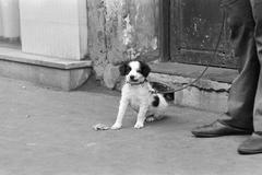 1969, Bordács Ferenc, Fortepan #309506